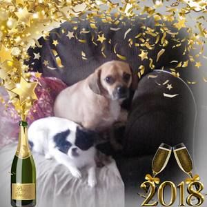 Meet your Posher, Maria